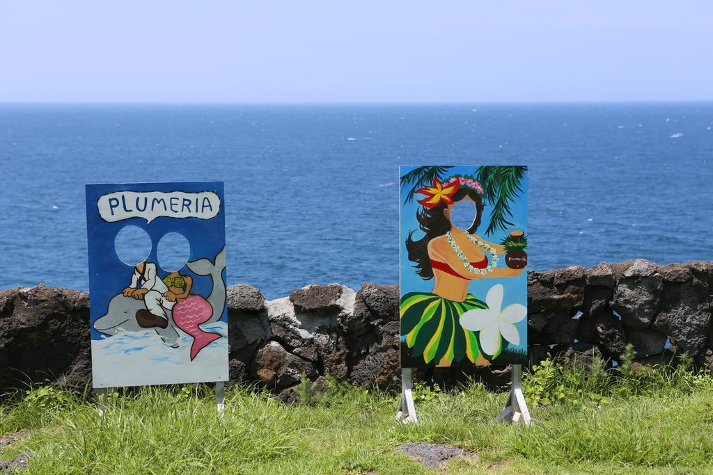 Plumeria Pension Jeju Eksteriør billede